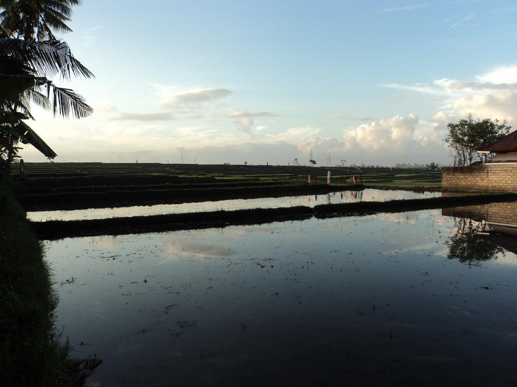 D'Tegale Homestay Cepaka Exterior photo