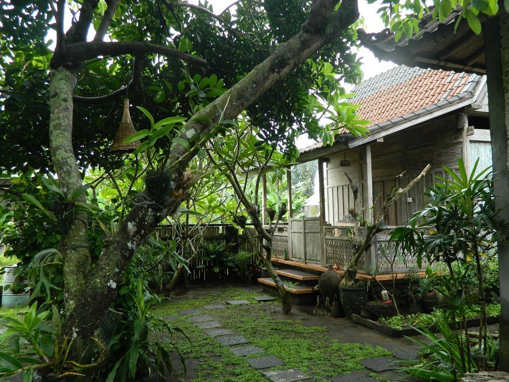 D'Tegale Homestay Cepaka Exterior photo